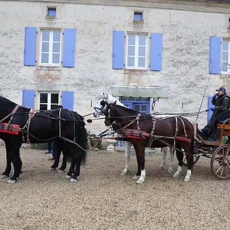 펜션 In Equestrian *