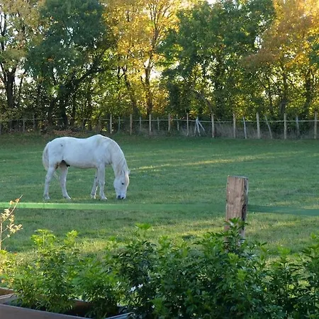 펜션 In Equestrian