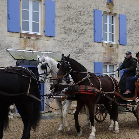 In Equestrian 펜션