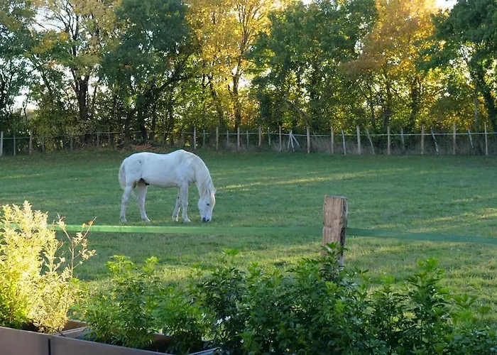 Hébergement de vacances In Equestrian