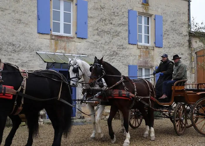 In Equestrian Hébergement de vacances